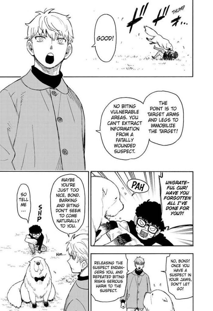 Spy x Family, Chapter 58 image 03